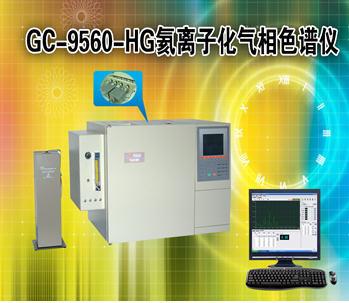 GC-9560-HG氦离子化气相色谱仪