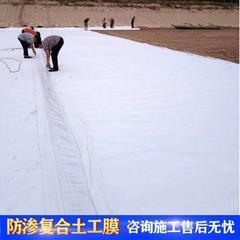 厂家直供长丝土工布河道护坡养护白色丙纶透水防渗过滤复合布建筑