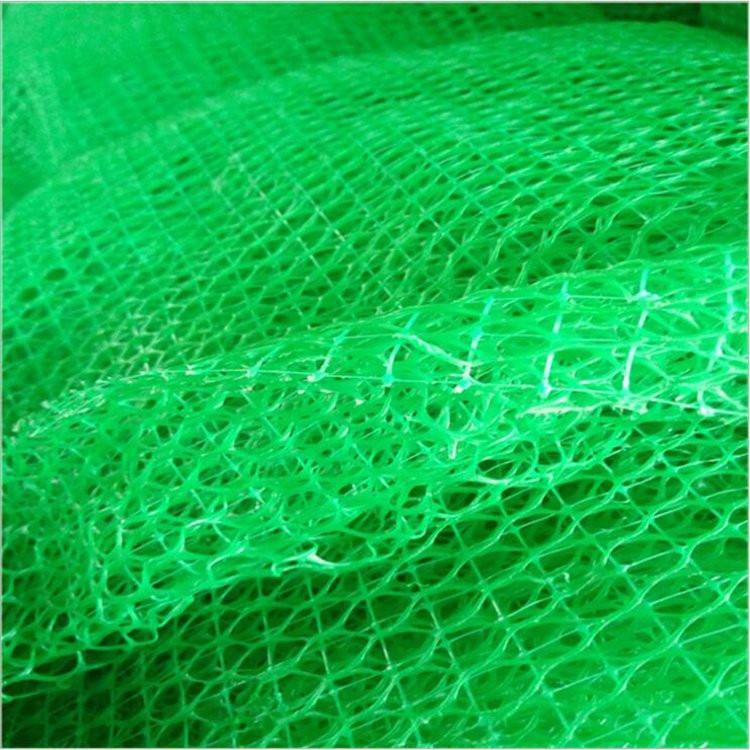 三维植被网 护坡三维植被网 绿色三维植被网 植被网厂家
