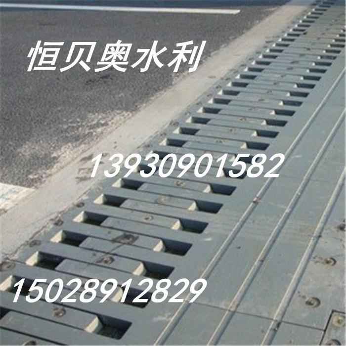  Hengbeiao Bridge Expansion Joint