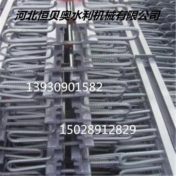 Hengbeiao Bridge Expansion Joint