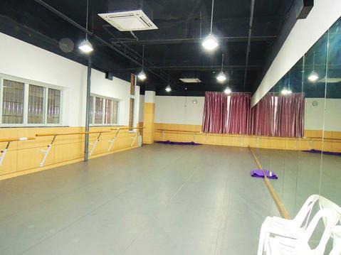 舞蹈地胶价格 舞台地板价格 运动地胶 运动地板 芭蕾舞地胶