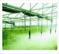 温室大棚灌溉施肥设备供应