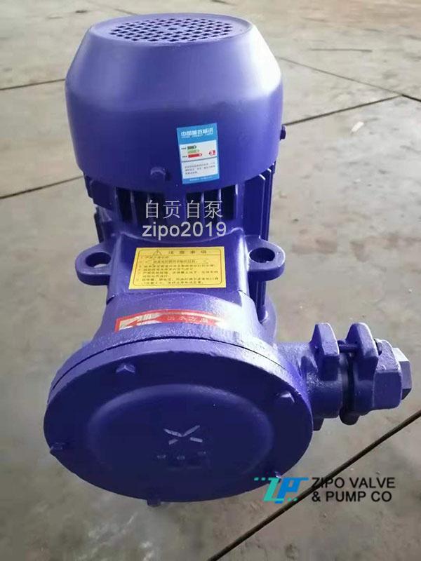 自贡自泵水泵ZISG或ZIHG或ZIRG铸铁立式管道离心泵立式增压泵