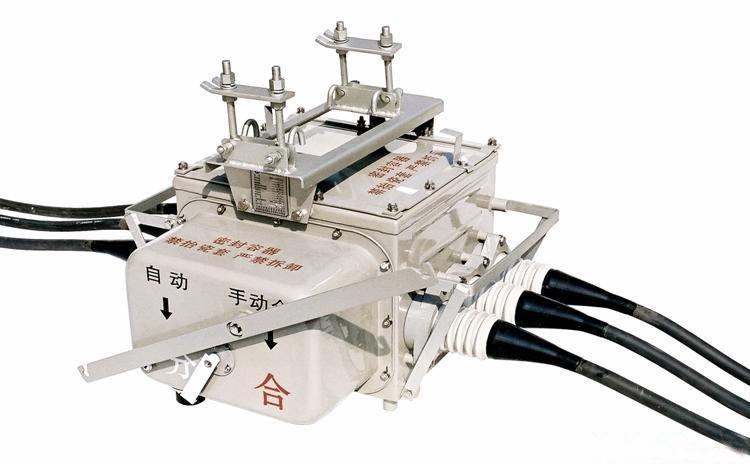 FZW28-12真空分界负荷开关