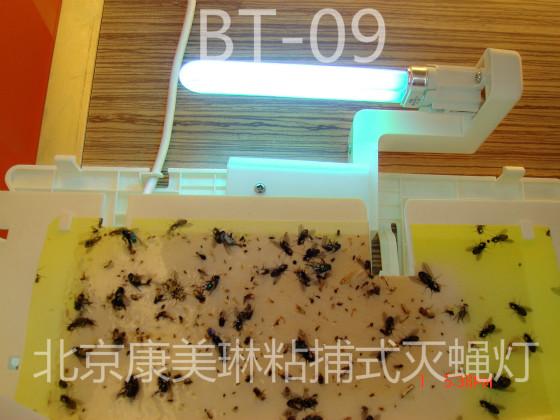粘捕式灭蝇灯管 诱蚊灯管 LED紫外线灭蚊灯管