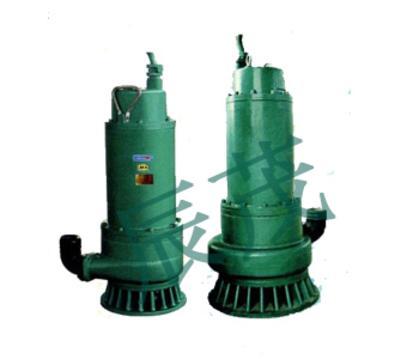 隔爆型排沙潜水电泵- BQS20-50防爆潜水泵