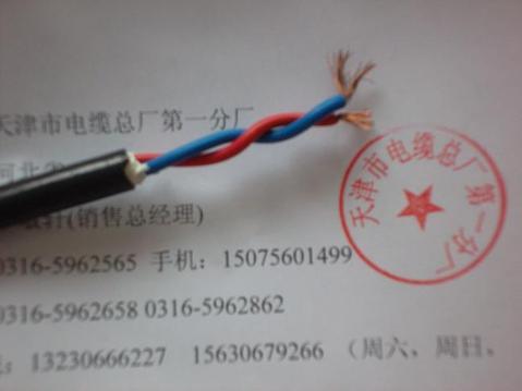 HJVVP25×2×0.5电缆-专业生产厂家