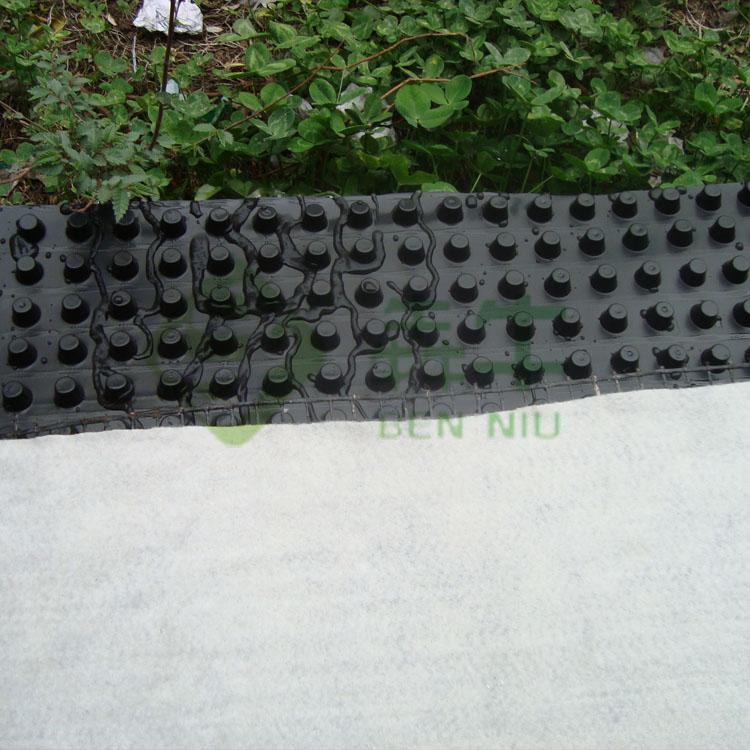 1.5公分厚塑料凹凸防排水板