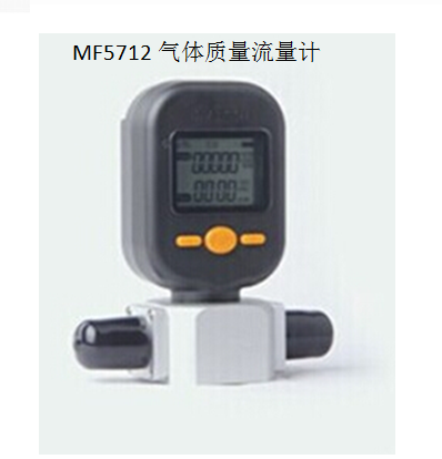 MF5712-N-200气体流量计显示器