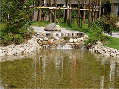 景观水处理—济南缔造者园林景观设计有限公司