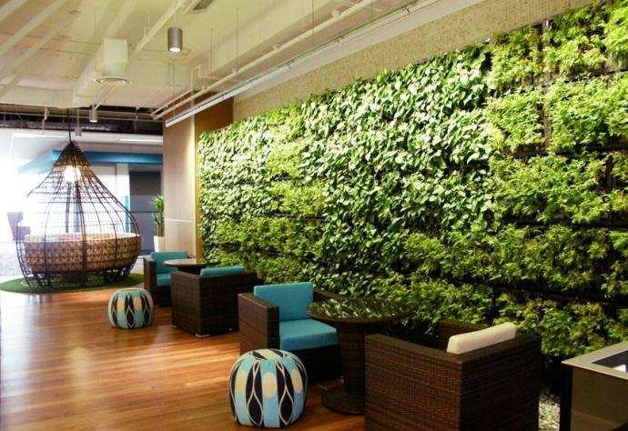 分享家庭中的植物墙设计—深圳室内植物墙
