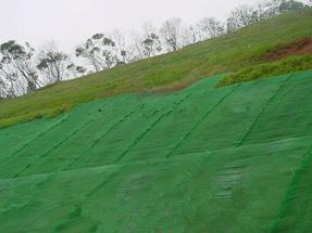 三维土工网垫植草，泰安九洲三维土工网垫价格