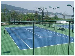丙烯酸网球场地建设 硅PU网球场地施工