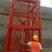 购买安全爬梯到河北通达厂家主营建筑施工梯笼 框架梯笼 护网梯笼