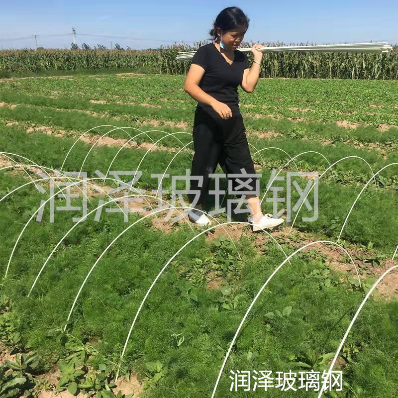 河北润泽可定制新型花卉蔬菜育苗棚替代毛竹玻璃纤维棒