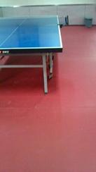塑胶pvc软板#乒乓球室内地板安装#乒乓球地板胶含安装价格