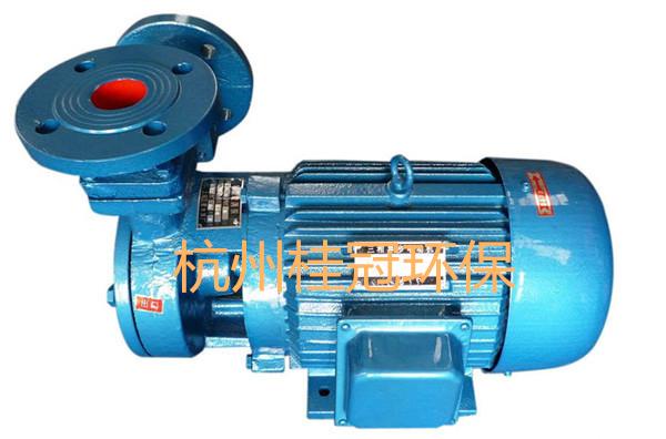 W型单级直连式旋涡泵高温卧式锅炉给水泵高扬程旋涡泵