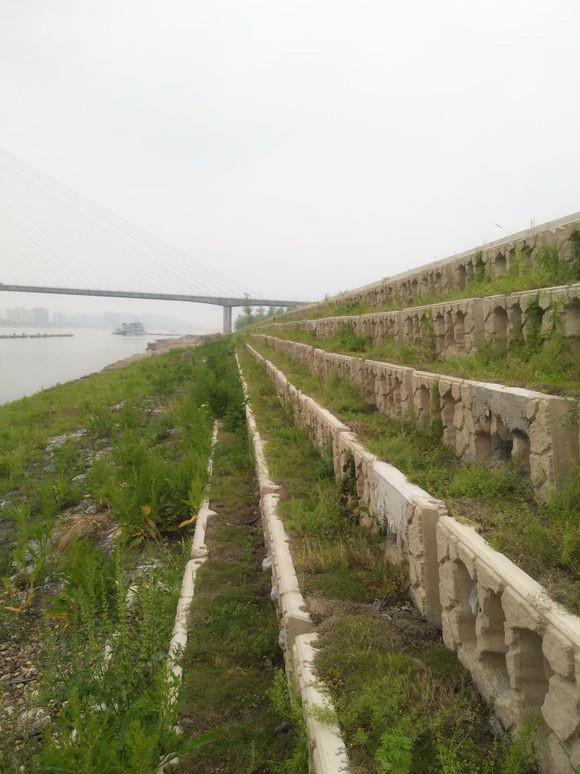 河道生态护坡框河堤边坡选中力通新材
