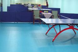 乒乓球室塑胶地板