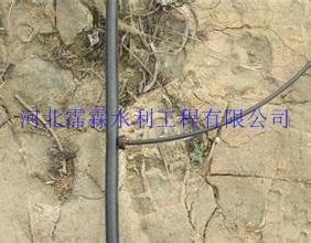 滴灌厂家安装 鹤壁浚县红枣紊流器 果园灌溉