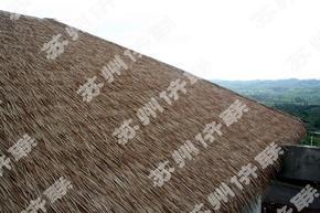 现代茅草屋顶材料—全球茅草专家