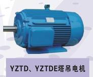 YZTD塔式起重机用双速三相异步电动机