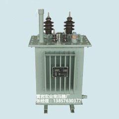 生产S11-50/10-0.4油浸电力变压器浙江黄岩宏业变压器厂