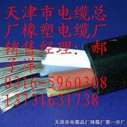 CEFR电缆/天津市电缆厂，CEFR船用电缆厂家报价