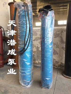 温泉井用热水泵-天津高扬程深井潜水泵