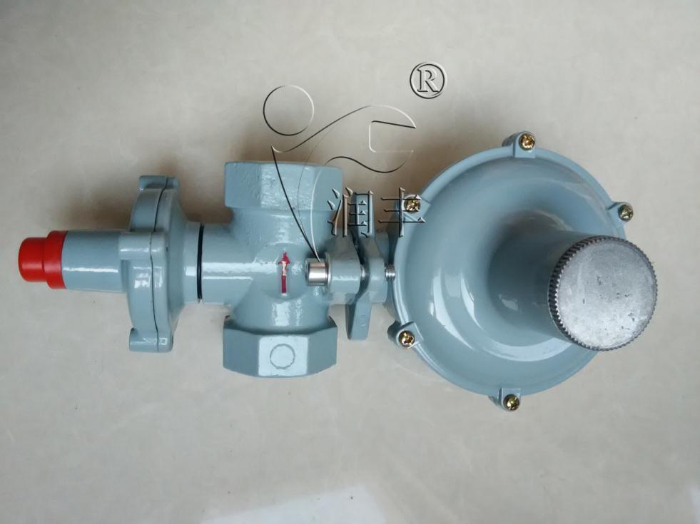 RTZ20热水器专用减压阀食堂锅炉调压器