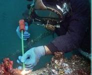  成都打捞公司总结：水下电焊防触电安全措施有哪些? 