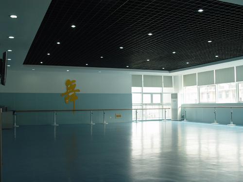 %.02舞蹈地板，%…&舞蹈教室地板，#￥舞蹈专用地板