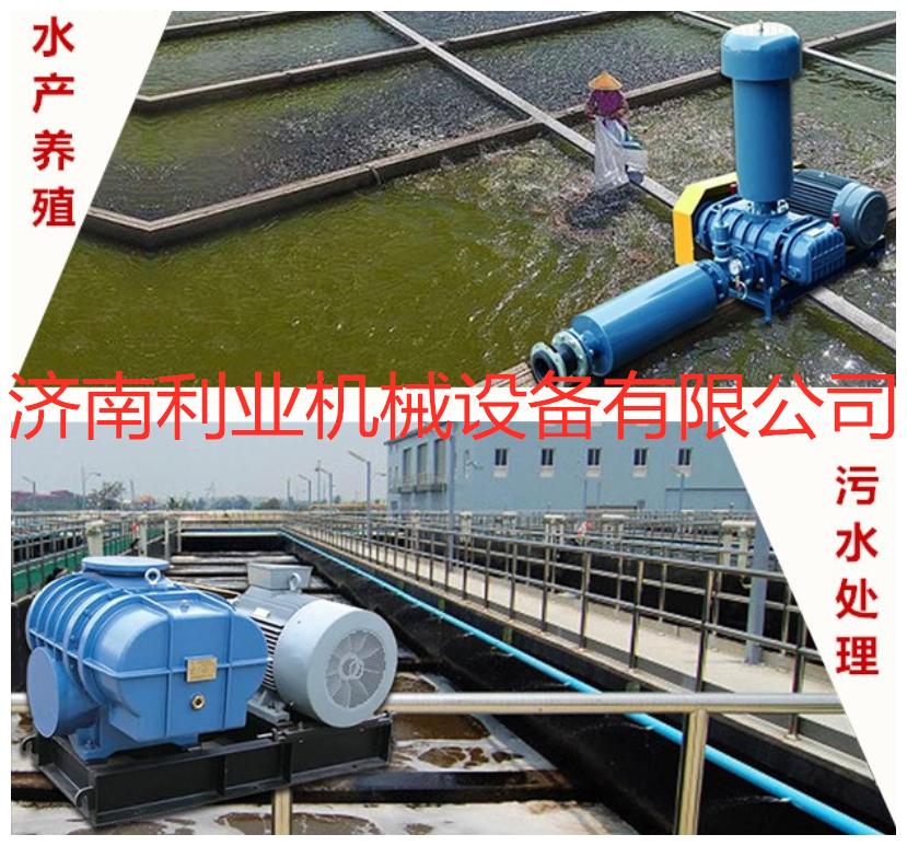 济南利业三叶罗茨风机污水处理风机污水处理曝气机