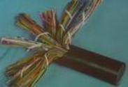 WDZ-HYA 低烟低卤阻燃大对数电缆