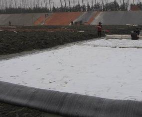 南京膨润土防水毯（覆膜）防水毯