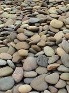 形态各异的鹅卵石/英石假山石/假山塑石