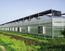 智能玻璃温室建设 河北其实科技公司
