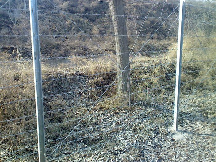 安平博安厂家直销刺丝网立柱,养殖专用网 