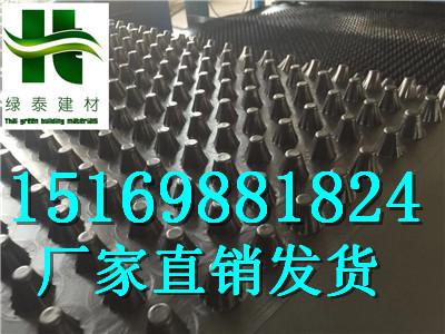 黑龙江大庆市2公分车库种植(蓄排水板)
