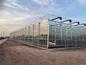西藏拉萨日喀则玻璃智能温室蔬菜温室大棚【筑安金】