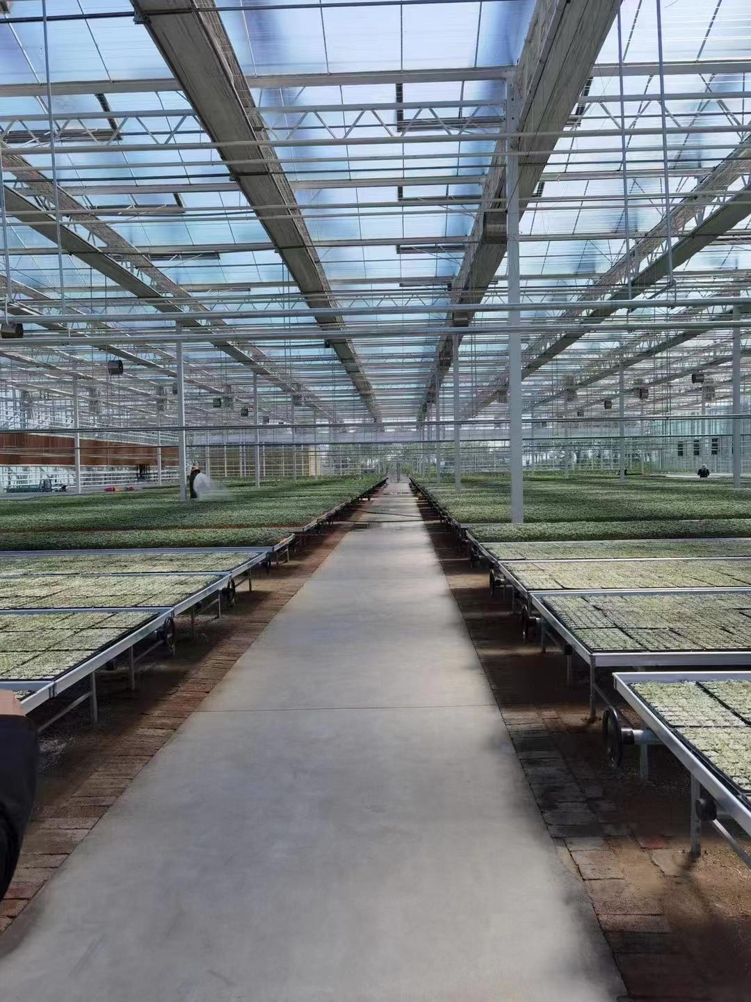 西藏拉萨日喀则玻璃智能温室蔬菜温室大棚【筑安金】