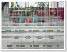 兔笼鸽子笼鸡笼狐狸笼狗笼食槽各种笼具工艺网篮