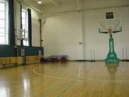 篮球专用地板，室内外篮球地胶