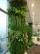 大堂 客厅 柱子植物墙 仿真植物墙