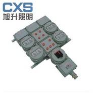 CBP53BXM(D)53防爆照明(动力)配电箱(IIC）