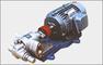 齿轮泵／不锈钢泵／不锈钢齿轮泵；青岛渤海泵业专业生产