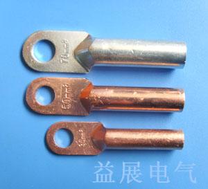 国标镀锡铜鼻子,专业生产DT-50mm高压电缆铜鼻子, DT闭口铜鼻子价格