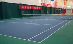 河南郑州羽毛球乒乓球网球篮球塑胶运动地板体育地板专卖店总代理商