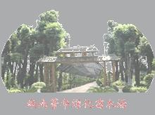 湖南宁乡菁华绿化苗木场